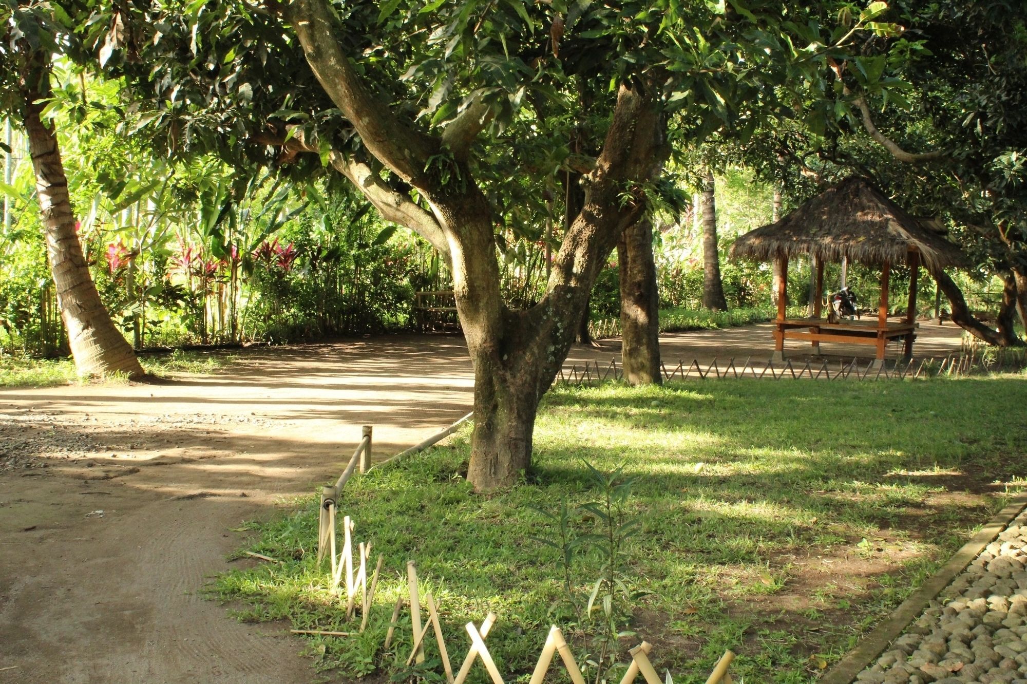 Lendang Homestay Mangsit Luaran gambar