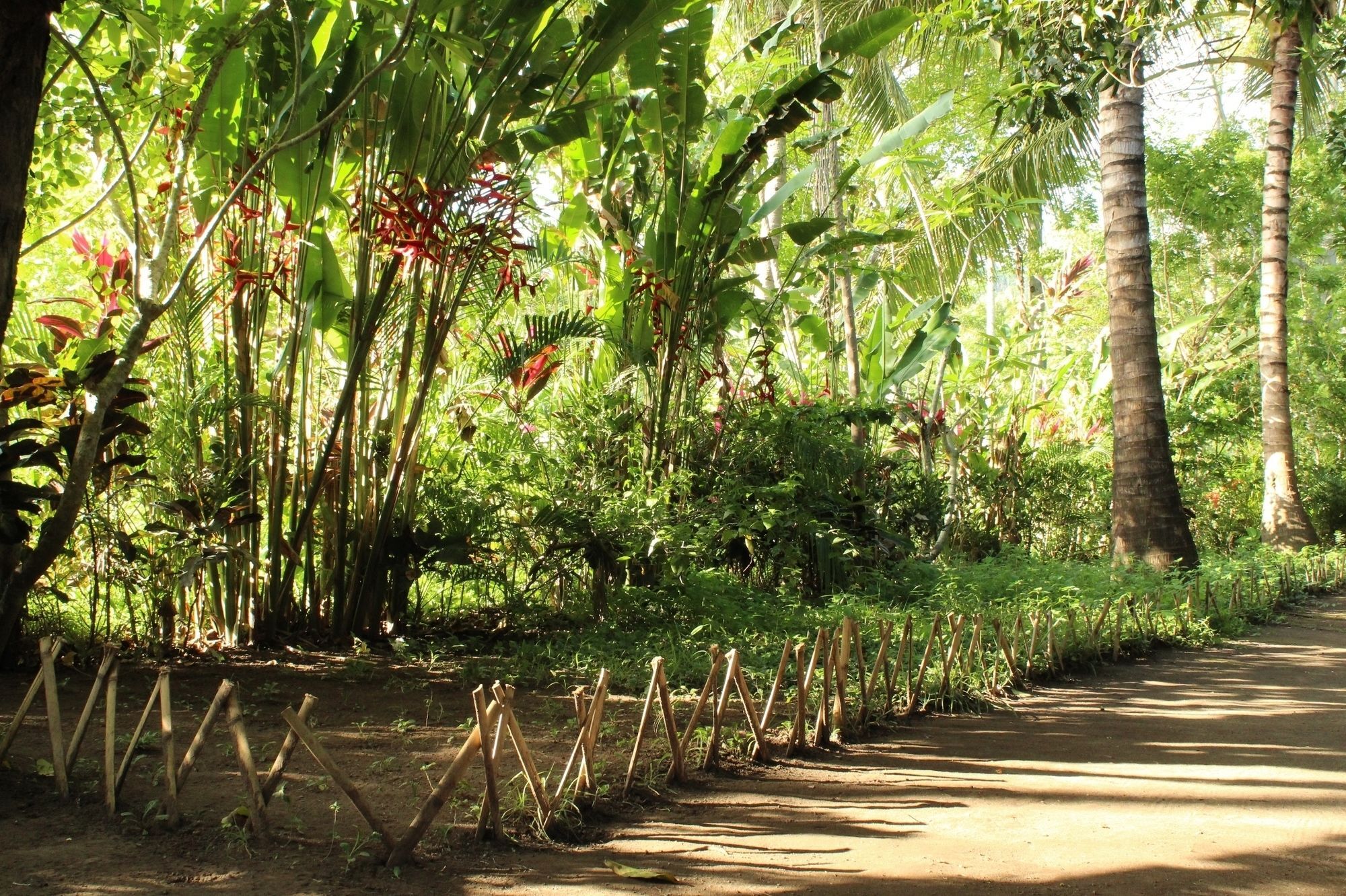 Lendang Homestay Mangsit Luaran gambar